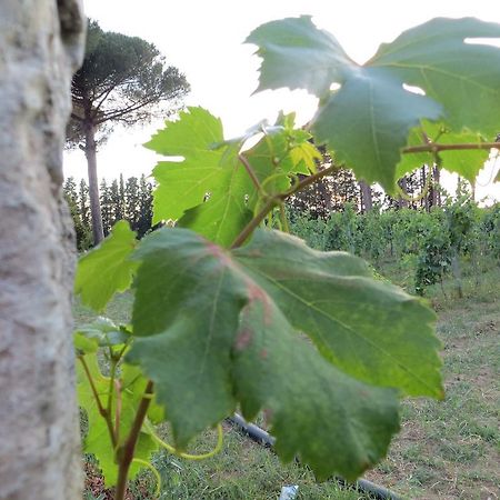 Agriturismo Occhineri Porto Cesareo Exteriér fotografie