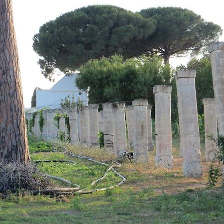 Agriturismo Occhineri Porto Cesareo Exteriér fotografie