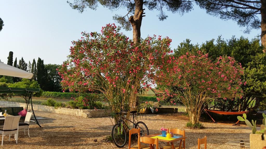 Agriturismo Occhineri Porto Cesareo Exteriér fotografie