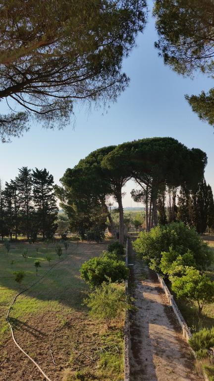 Agriturismo Occhineri Porto Cesareo Exteriér fotografie