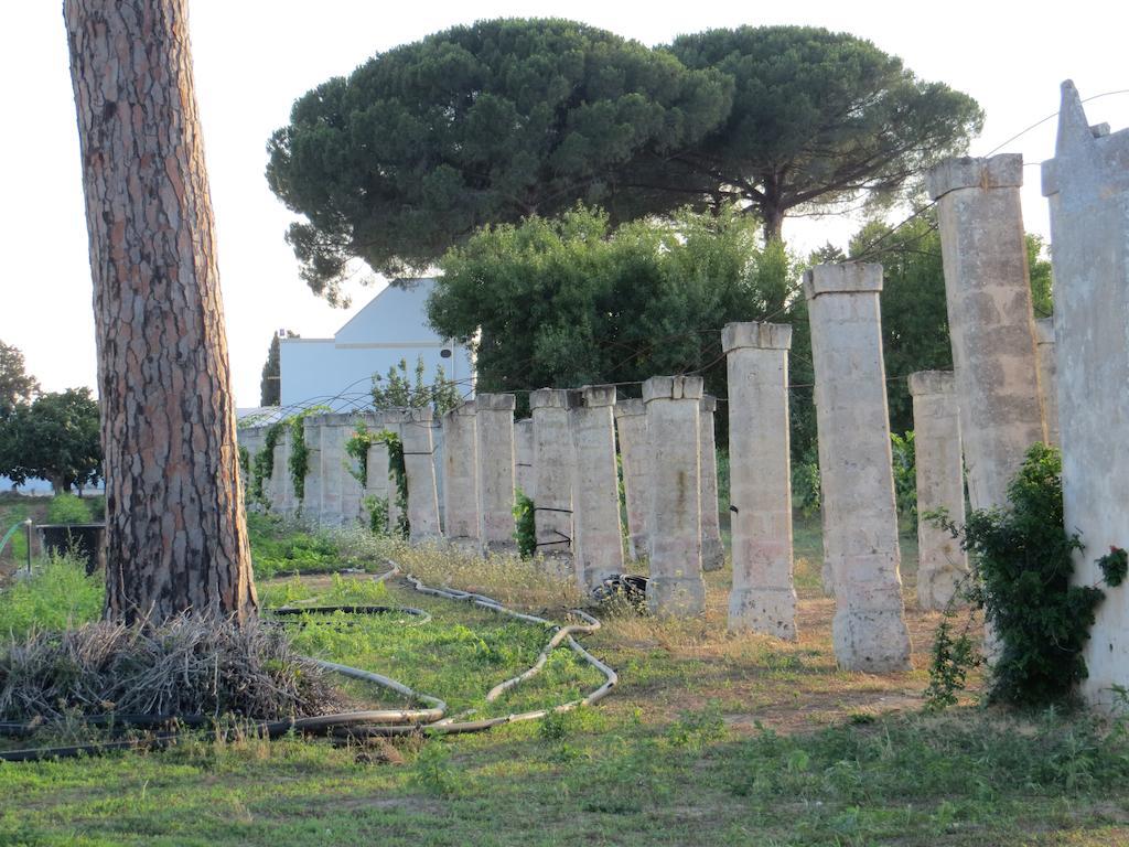 Agriturismo Occhineri Porto Cesareo Exteriér fotografie