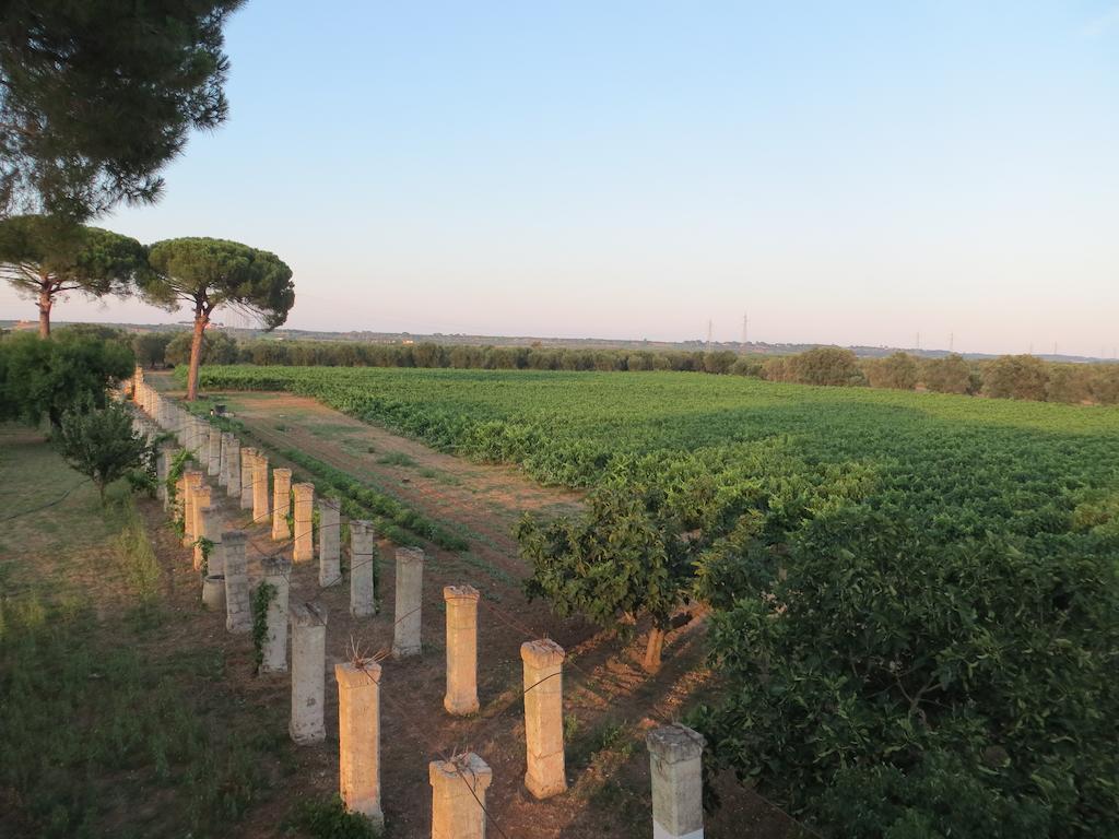 Agriturismo Occhineri Porto Cesareo Exteriér fotografie