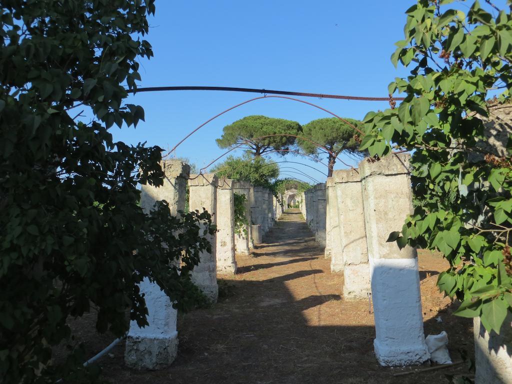 Agriturismo Occhineri Porto Cesareo Exteriér fotografie