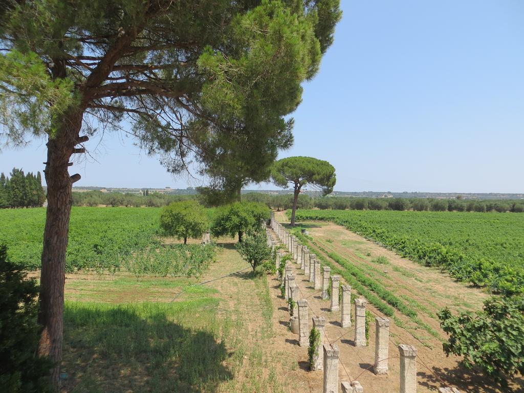 Agriturismo Occhineri Porto Cesareo Exteriér fotografie